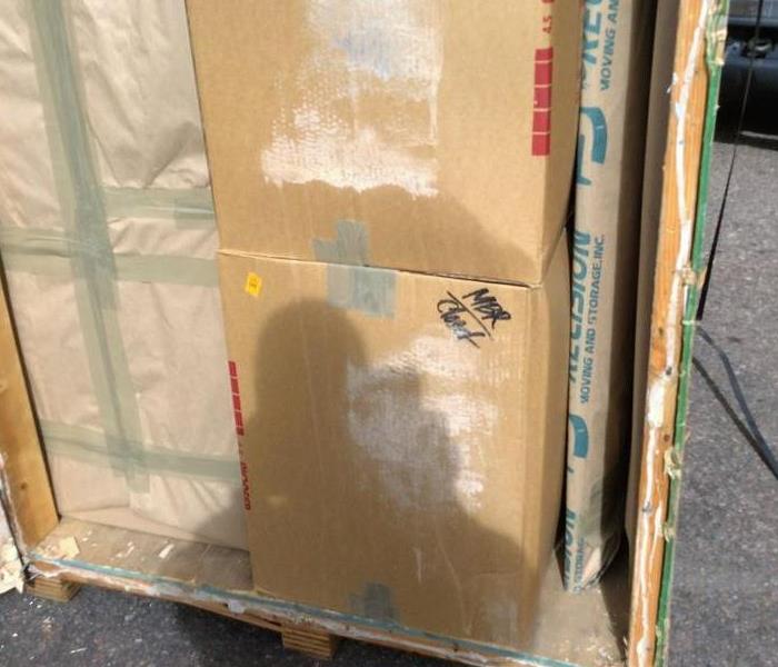 Shipping Crate Mold Damage