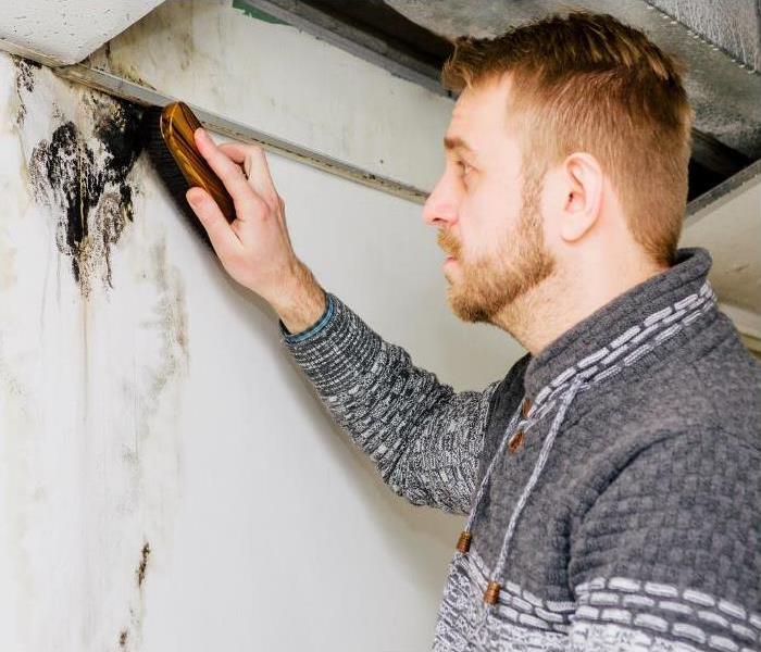 Man identifying a mold problem on the wall and using a brush to clean.