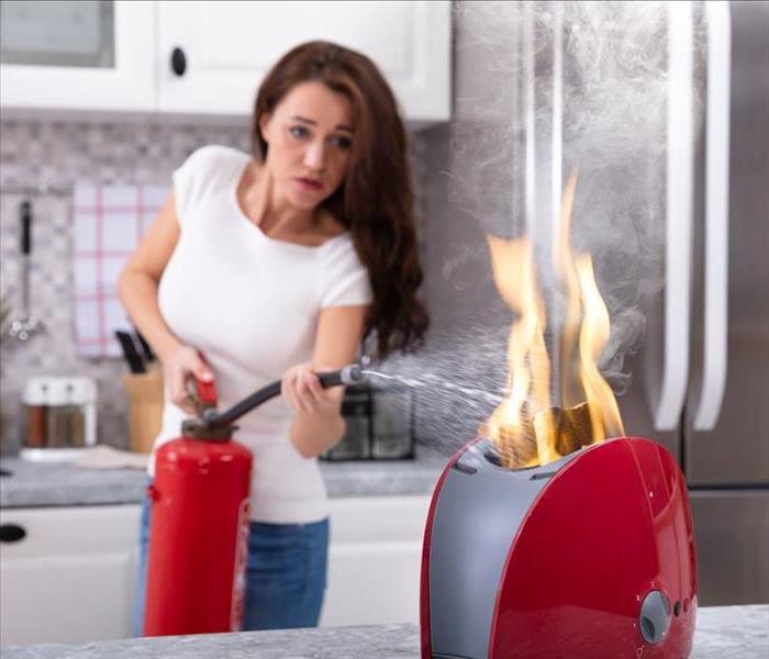 Woman using an extinguisher in her kitchen.