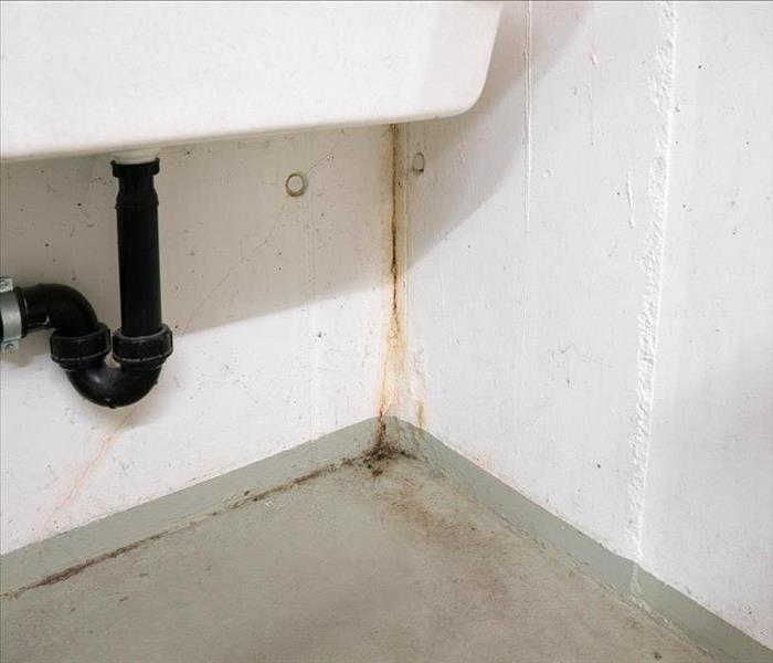 Image of mold damage under a sink 