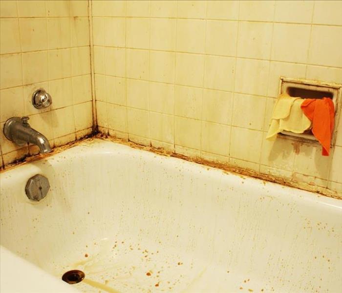 Image of a tub dirty after a sewage back up