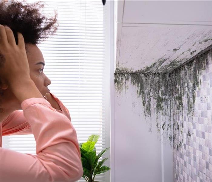 Homeowner finds Mold in her House.