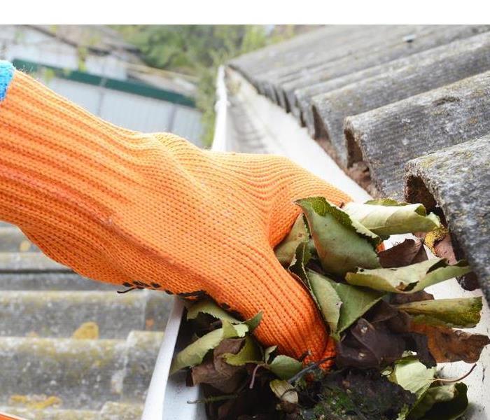 Removing dry leaves and debris from gutters